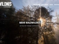 wildnis in deutschland